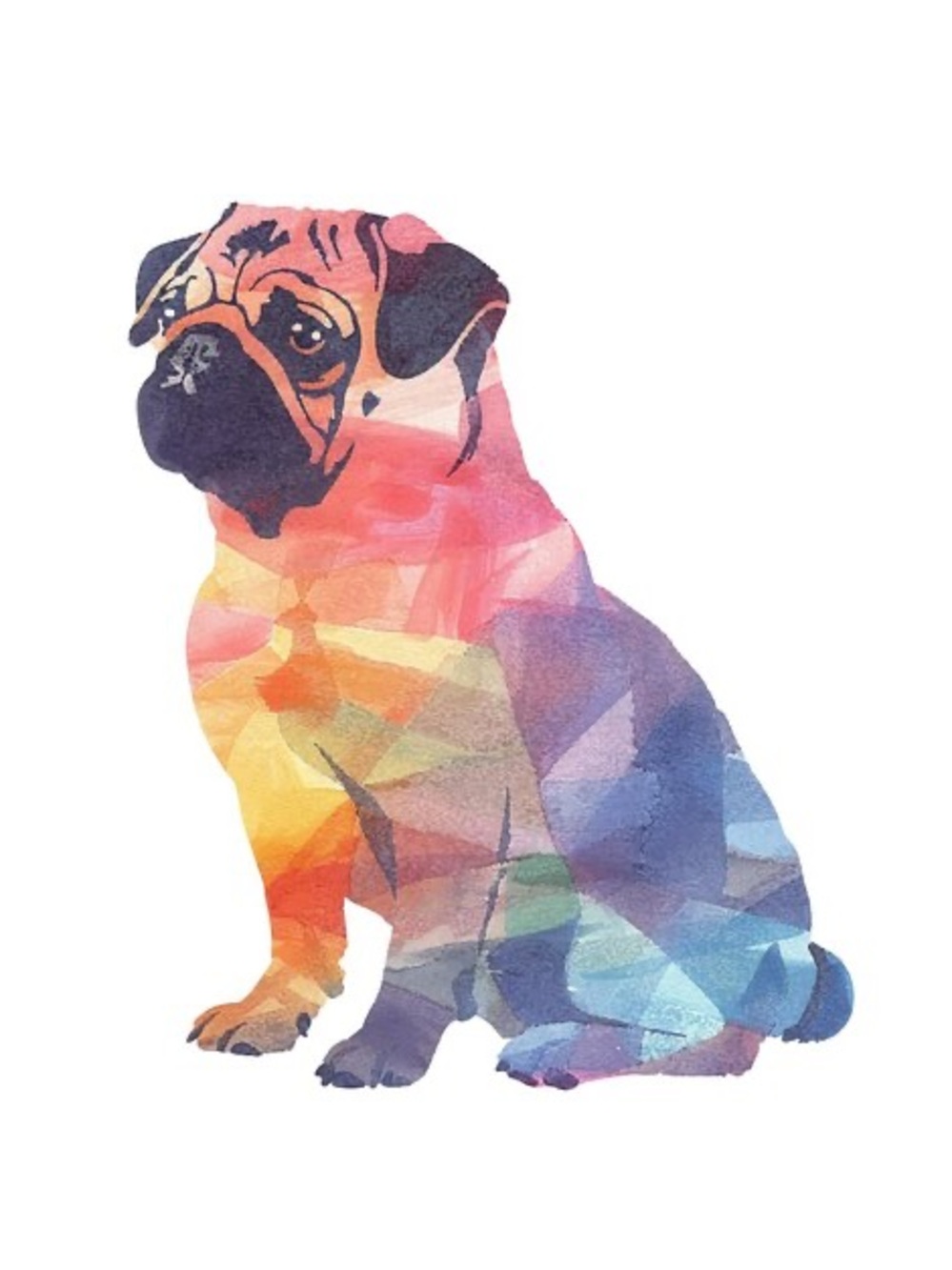 ❤️For The Pugs❤️